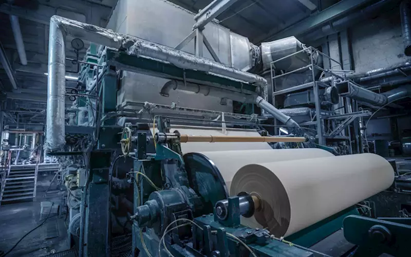 Paper & Pulp